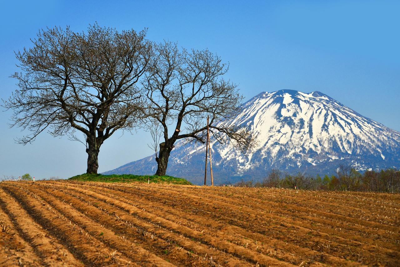 Hotel Niseko Alpen Kutchan Exterior foto